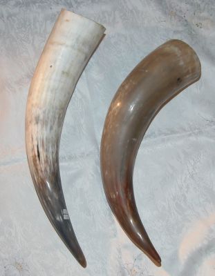Trinkhorn
